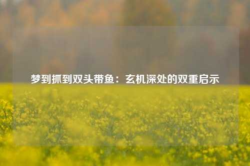 梦到抓到双头带鱼：玄机深处的双重启示