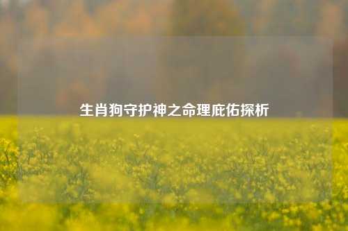 生肖狗守护神之命理庇佑探析
